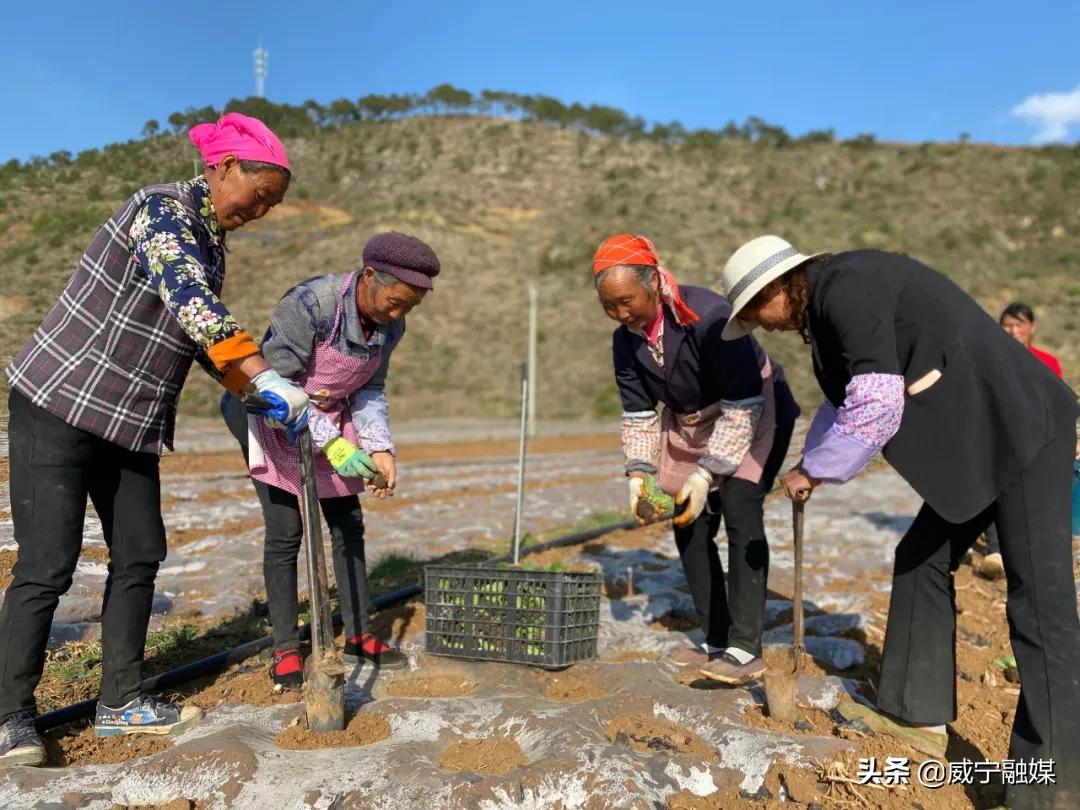 威宁异地搬迁最新消息（威宁搬迁动态速递）