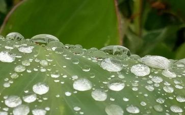 近期丰沛雨露，滋润心田七日记