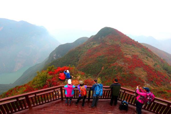 麻城市五脑山景区迎来新篇章，喜讯频传！